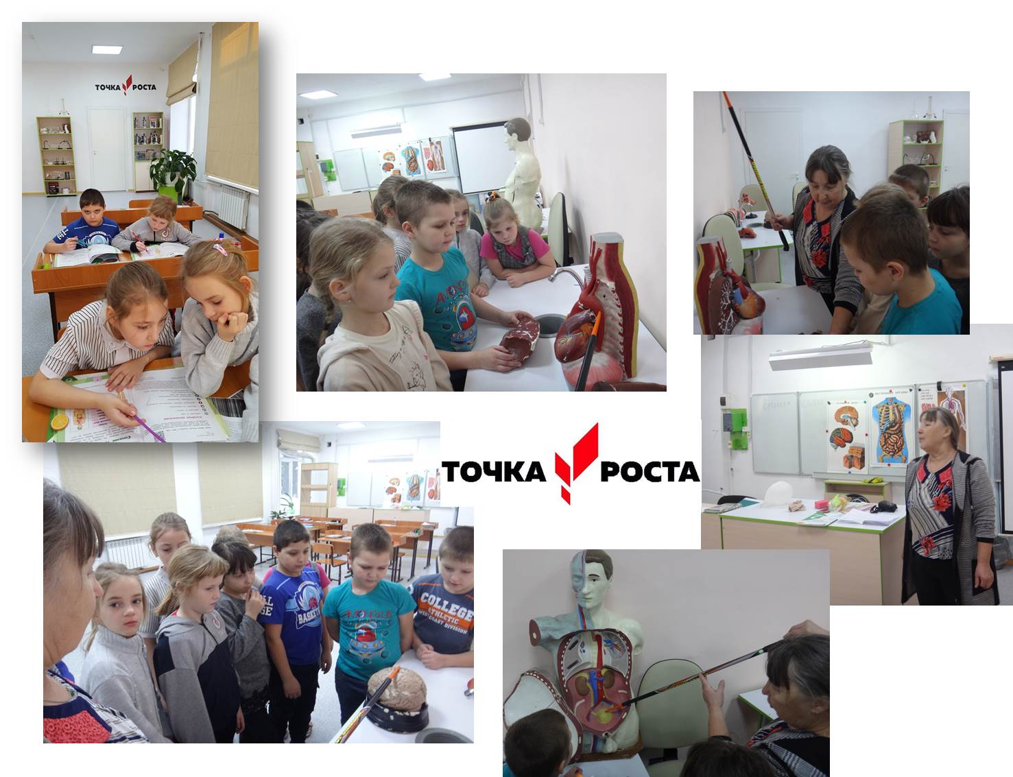 Во 2 классе прошёл урок окружающего мира по теме «Строение тела человека» с использованием оборудования Точки роста. Урок провели учитель биологии Баркова Т.А. и Пестрецова Т.А.
